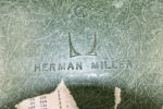 eames shell for Herman Miller